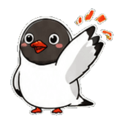 005
