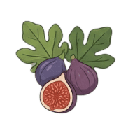 029