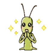 010