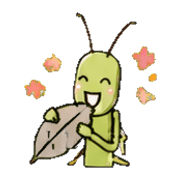 031