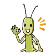 006
