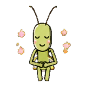 008