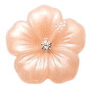 029