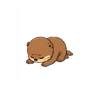 020