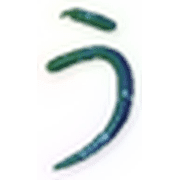 003