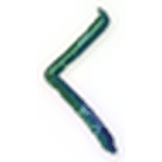 008