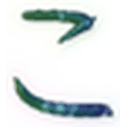 010