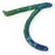 019