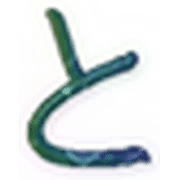 020