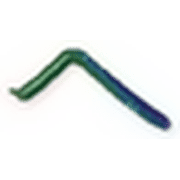 029