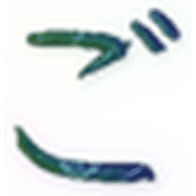 060