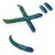 061
