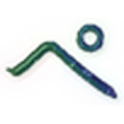 079