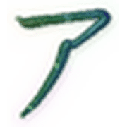 081