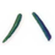 106