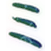 112