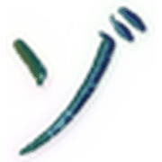 145