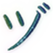 148