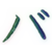 151