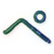 159