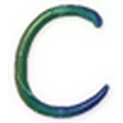 164
