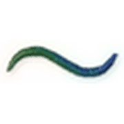 224