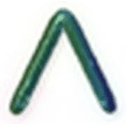 231