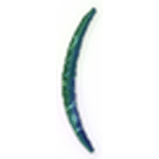 234
