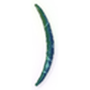 235