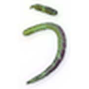 003