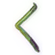 008