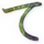 019