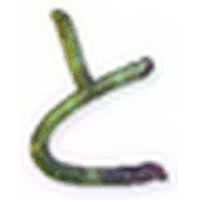 020