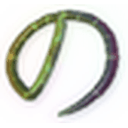 025
