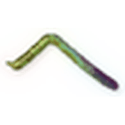 029