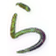 039