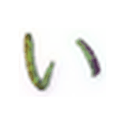 048