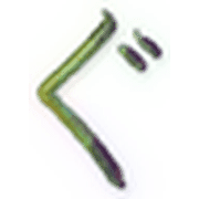 058