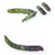 060