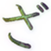 061