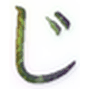 062