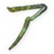 081