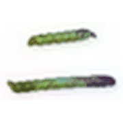 102