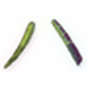 106