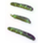 112