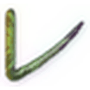 122