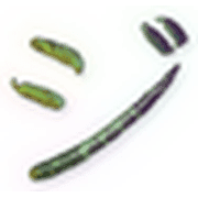 142