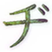 147
