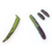 151