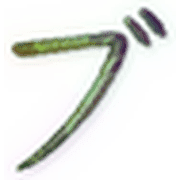 153